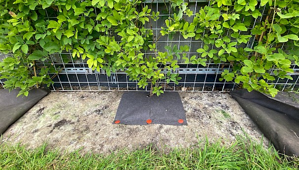 Ecotex™ 100 Biodegradable Tree Mats image image