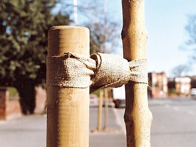 Jute Tree Ties