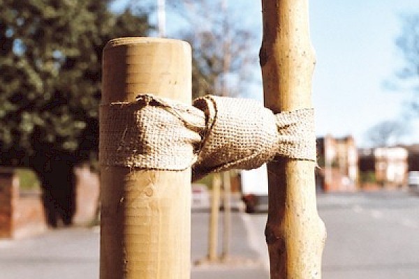 Jute Tree Ties