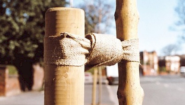 Jute Tree Ties image image