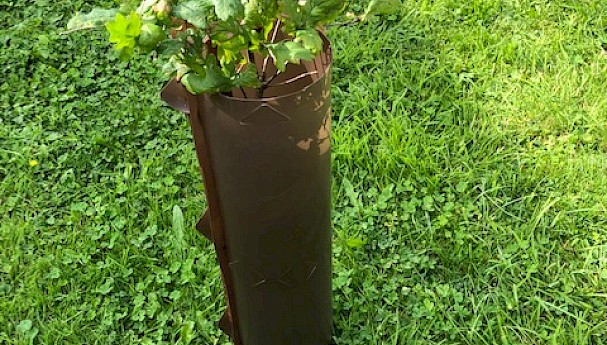 Eco-Haven™ Original - Biodegradable Tree, Shrub, Coppice & Vole Guards image image