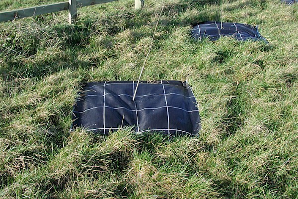 Covertex™ Tree Mats