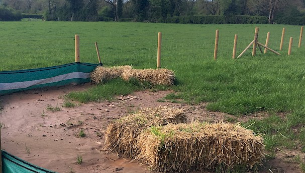 Straw Bales image image