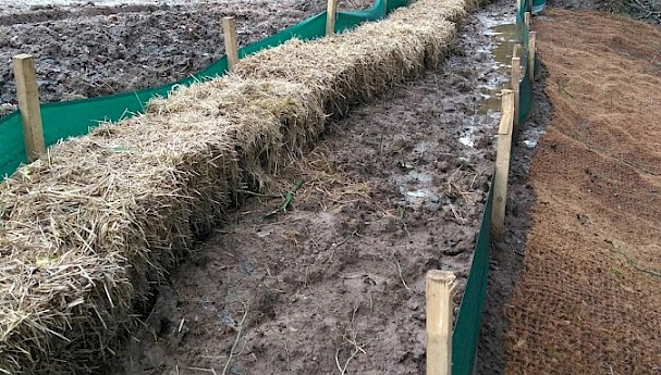 Straw Bales image image