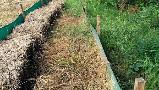 Straw Bales image image