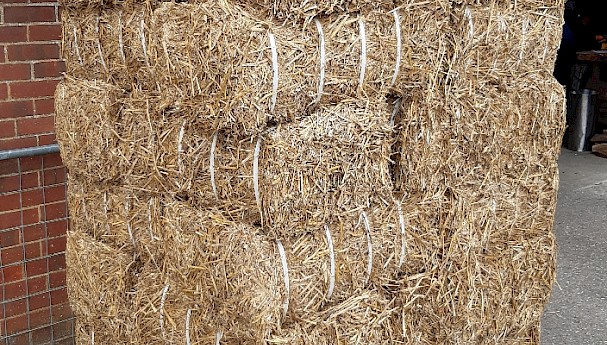 Straw Bales image image