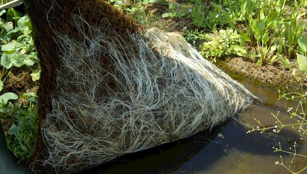 Coir Pre-Planted Pallet image