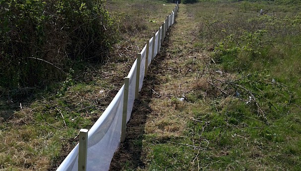 Ecofender™ Standard - Temporary Newt Barrier image