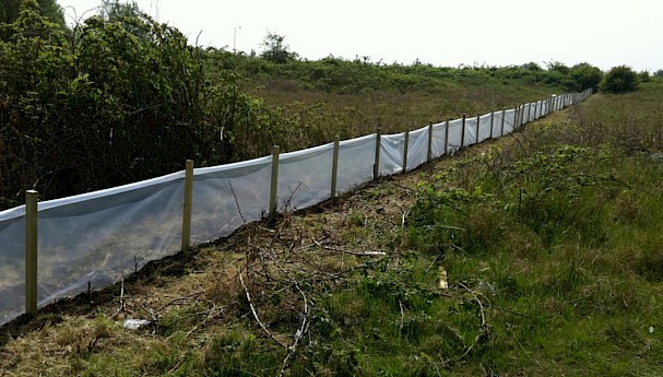 Ecofender™ Standard - Temporary Newt Barrier image