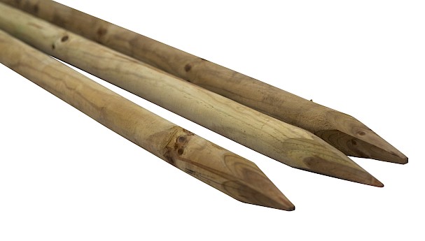 Timber Posts image image