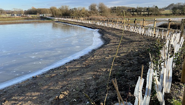 Eco-Haven Sleeve Biodegradable Hedge Tree and Shrub Guards Hy-Tex UK Ltd image